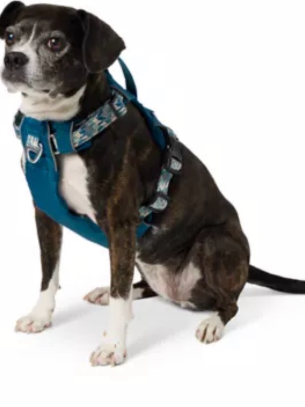 Arcadia trail adjustable reflective thread lightweight dog harness